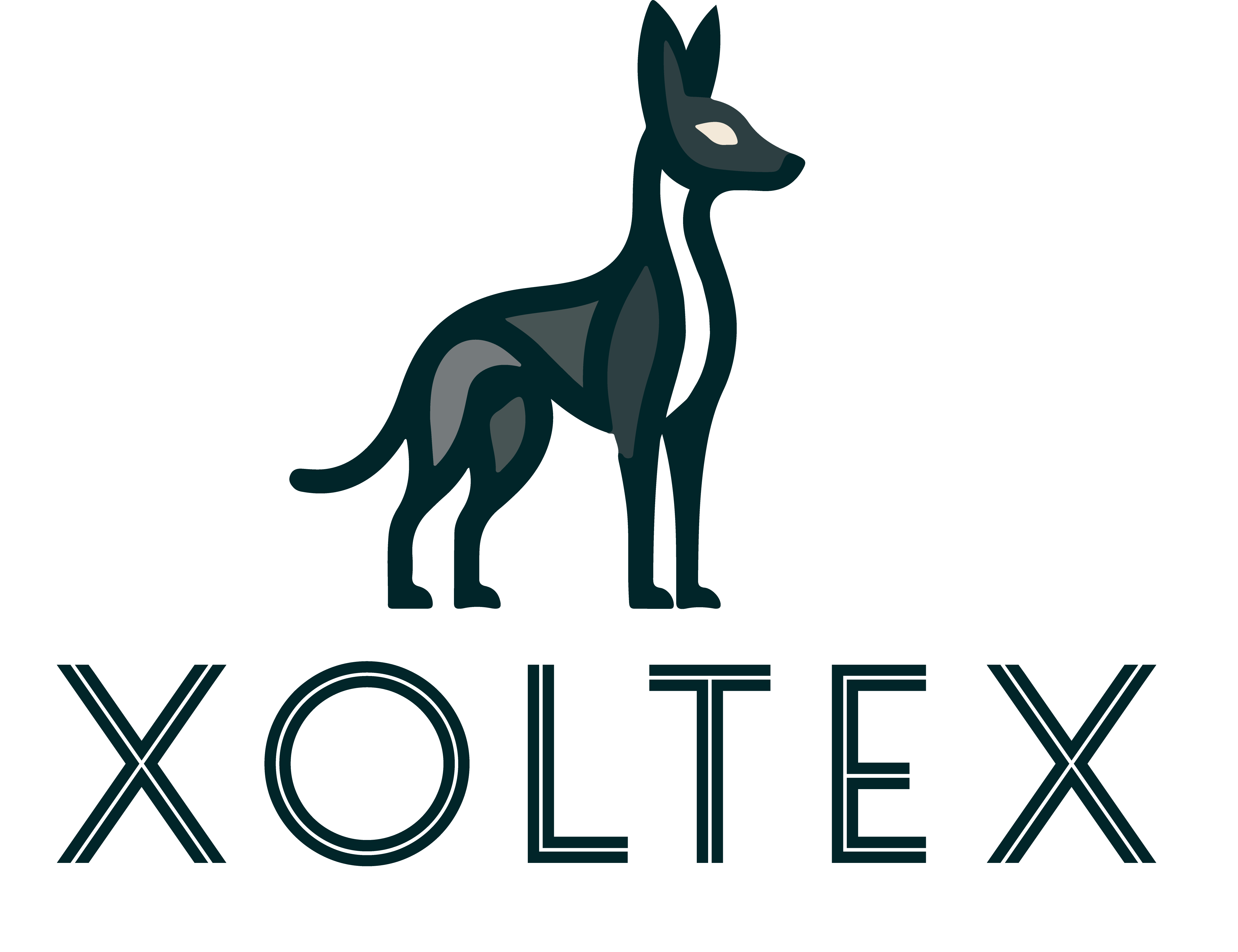 Logo XOLTEX